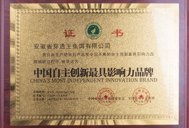 穿透王荣获“中国自主创新最具影响力品牌”