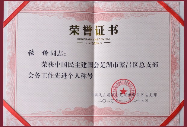 穿透王总经理荣获先进个人称号