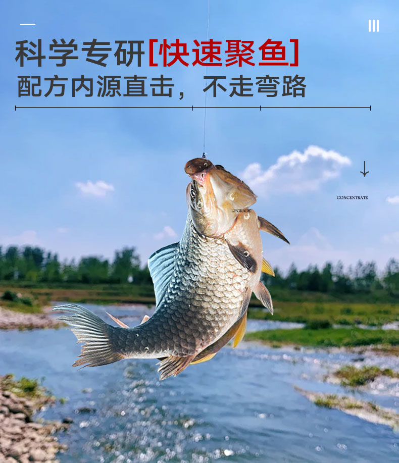 爆鲢鳙_08.jpg