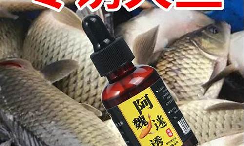 钓鱼小药一般什么牌子的好(钓鱼小药一般什么牌子的好用)