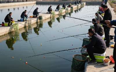 穿透王水剂k9怎么用的最好用什么(穿透王口水剂k9真的好用吗)