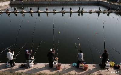 穿透王k9小药怎么样好用吗值得买吗(穿透王k9小药怎么样好用吗值得买吗)(pic1)