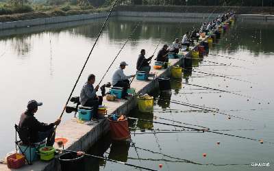 穿透王小药好用吗是真的吗为什么是真的吗(穿透王小药效果怎么样)(pic1)