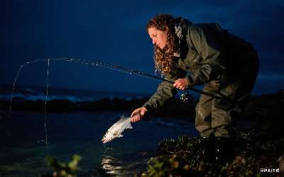 穿透王小药k9怎么搭配(穿透王小药的搭配)