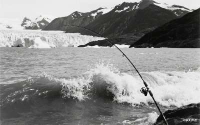 穿透王鲤聚味型是什么类型啊(穿透王鲤透二号钓鲤鱼配方)(pic1)