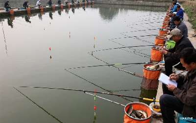 穿透王小药怎么样搭配使用效果更好吗(穿透王小药有效果吗)(pic1)